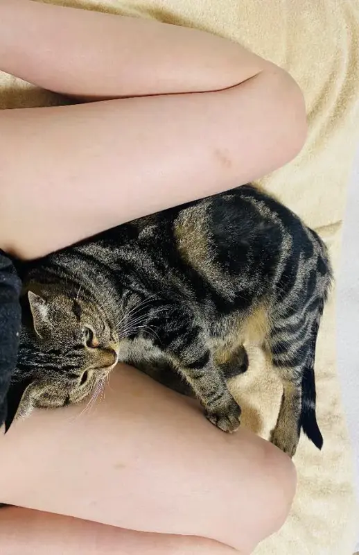 写メ日記 えま 12/25(木) 19:47