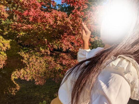 みわ 写メ日記 11/11(火) 21:12