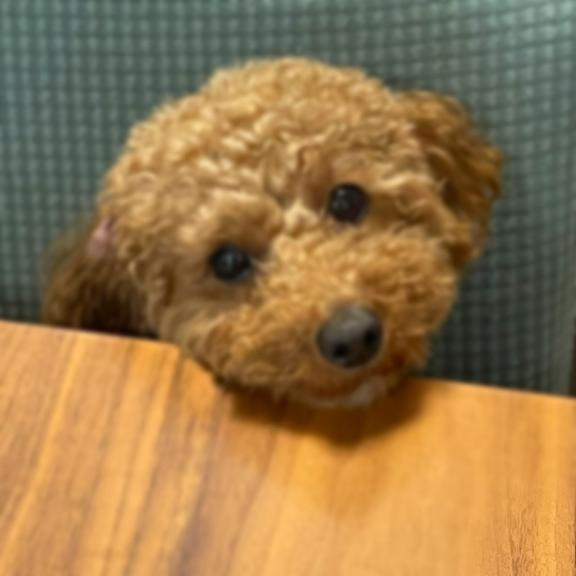 れいら 写メ日記 5/20(火) 22:04