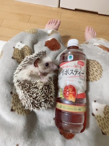 なづな 写メ日記 7/28(月) 11:34