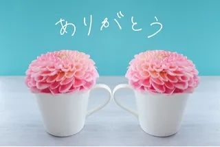 写メ日記 つくし 12/6(土) 21:24