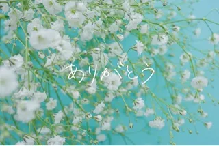 写メ日記 つくし 12/7(日) 12:44