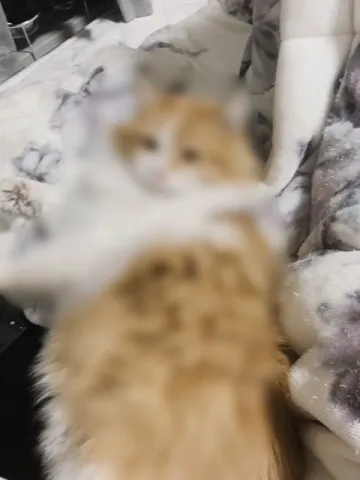 写メ日記 みさ 1/13(火) 19:18