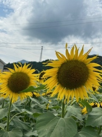 まこ 写メ日記 8/29(金) 10:56
