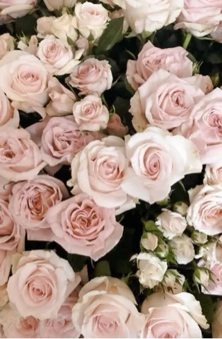 写メ日記 みわ 2/25(水) 12:36