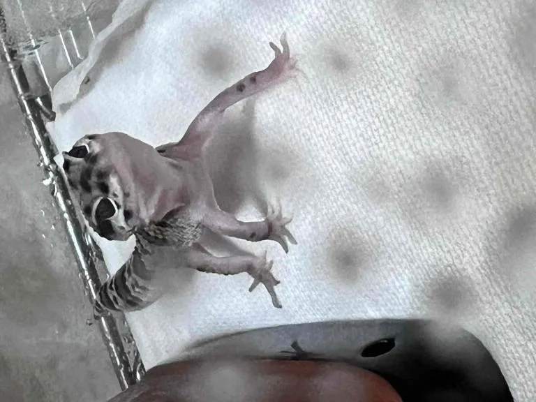 写メ日記 まこと 12/3(水) 13:35