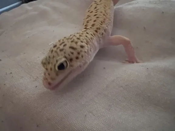 写メ日記 まこと 2/18(水) 18:26