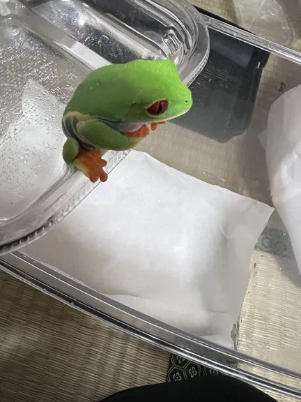 写メ日記 まこと 4/6(月) 06:32