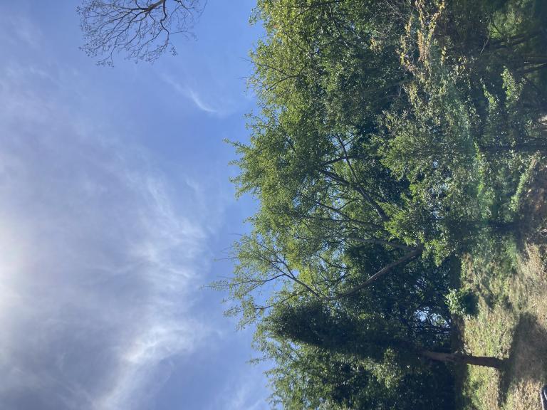 みき 写メ日記 11/3(月) 14:29