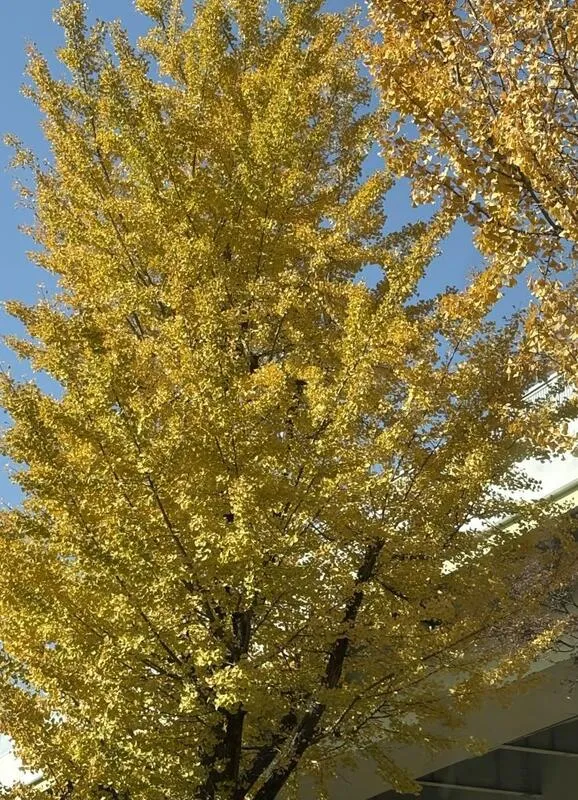 写メ日記 みき 12/1(月) 20:07