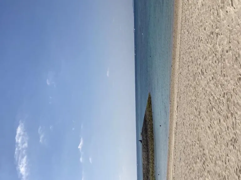 写メ日記 みき 12/31(水) 06:48