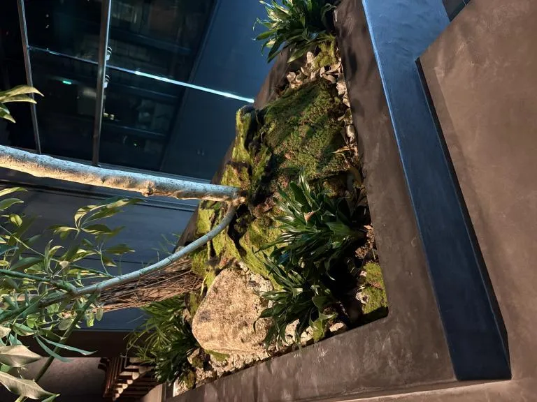 写メ日記 みき 1/5(月) 16:50