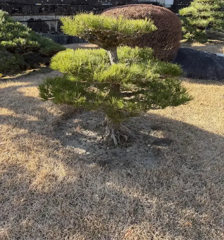 写メ日記 みき 1/18(日) 20:14