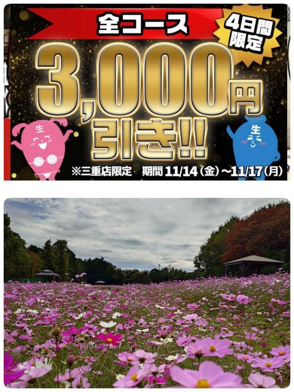 いちか 写メ日記 11/13(木) 19:33