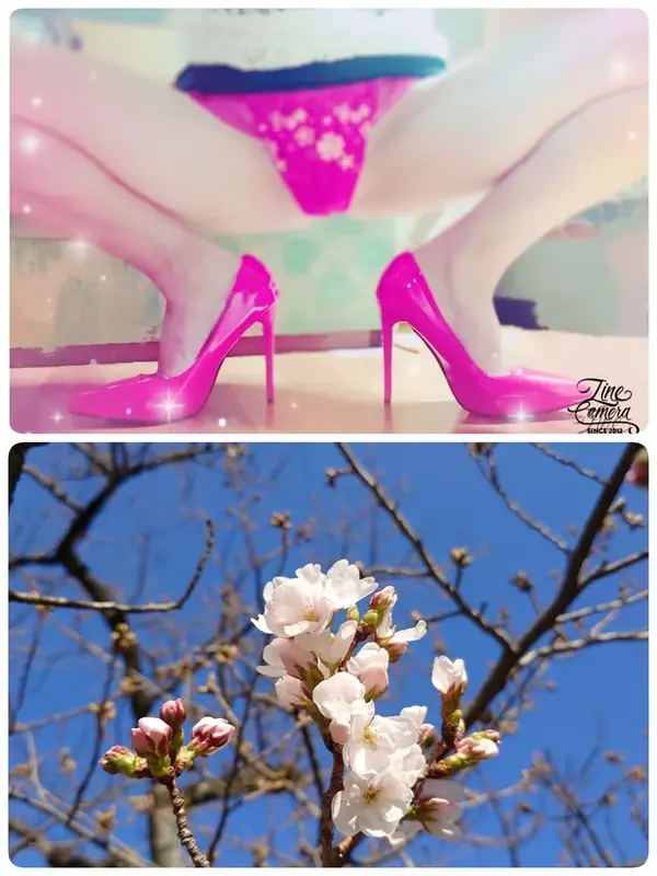 写メ日記 いちか 3/24(火) 09:28