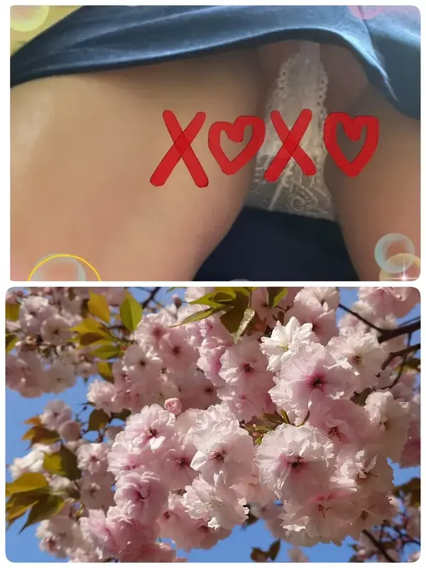 写メ日記 いちか 4/16(木) 19:45