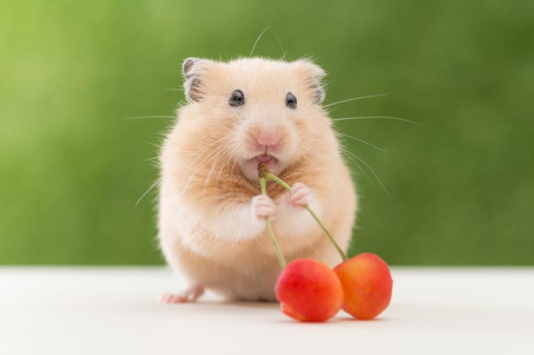 ひなの 写メ日記 7/3(木) 11:05