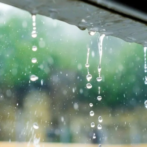 写メ日記 ひなの 3/3(火) 11:48