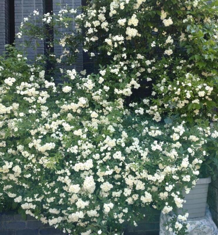 東海店ちひろ 写メ日記 4/27(日) 12:38
