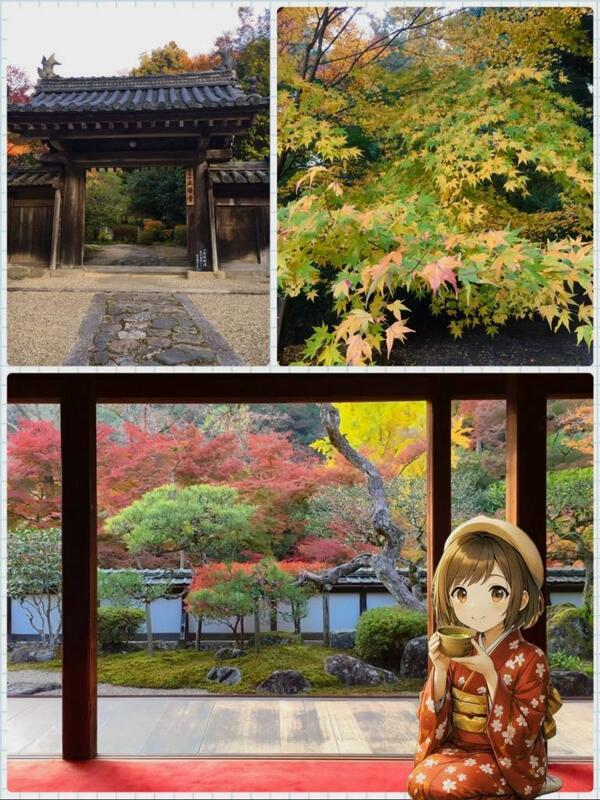 さくらこ 写メ日記 11/16(日) 19:09