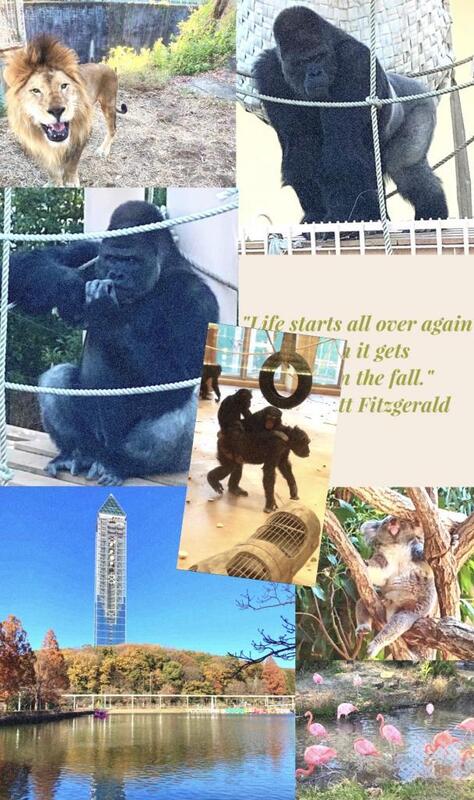 さくらこ 写メ日記 11/29(土) 18:27