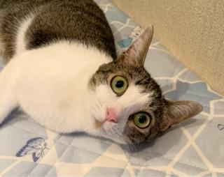 りりか 写メ日記 11/25(火) 16:25