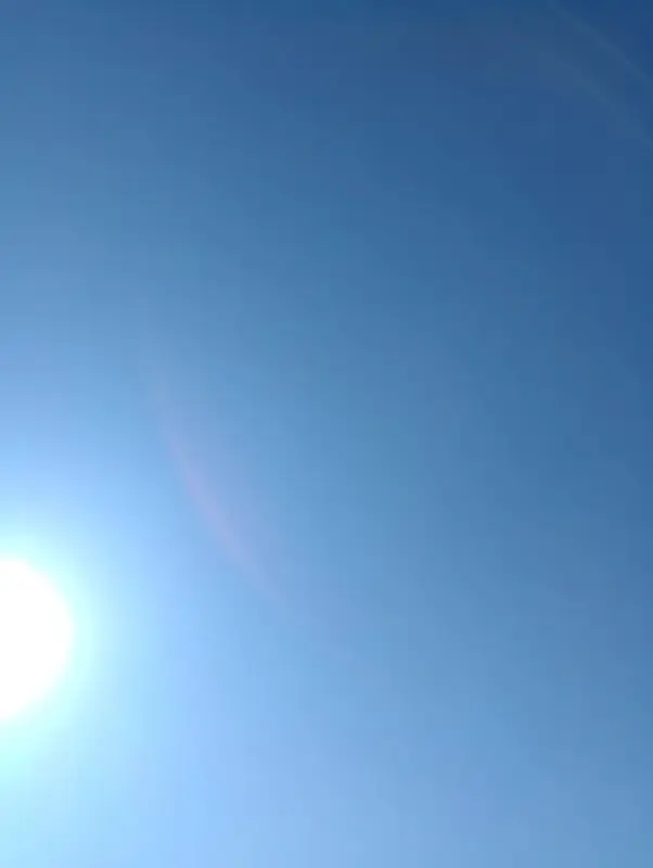 写メ日記 さくら 4/8(水) 15:24