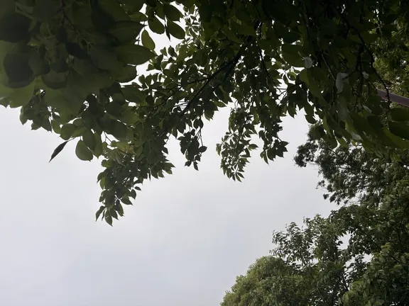 写メ日記 みだら 5/6(水) 15:25