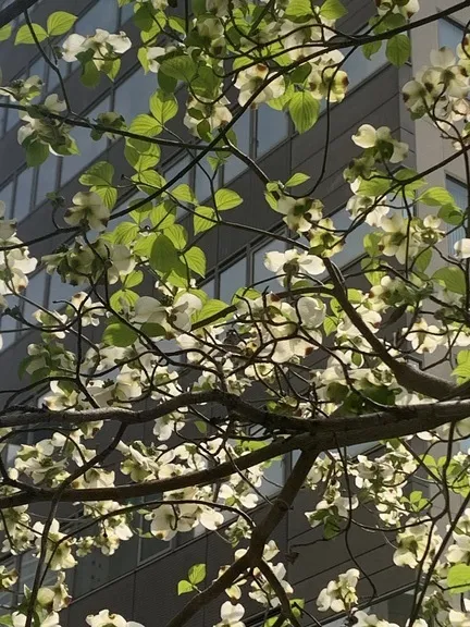 写メ日記 ほたる 5/4(月) 00:36