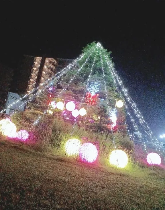 写メ日記 ぱぴこ 12/24(水) 20:31