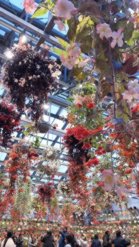 写メ日記 らら 5/16(土) 11:50