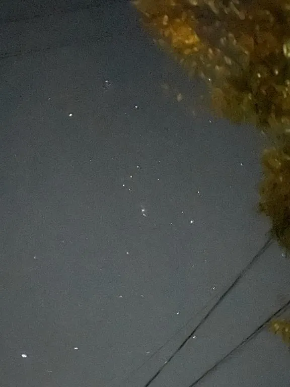 写メ日記 みゆ 12/17(水) 09:27