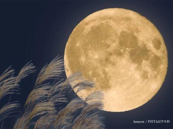 れい 写メ日記 11/5(水) 18:59