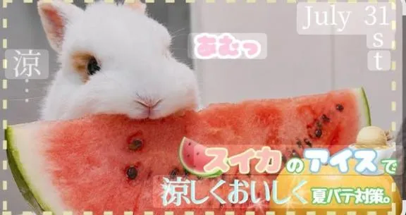 写メ日記 いずみ 8/29(土) 00:01
