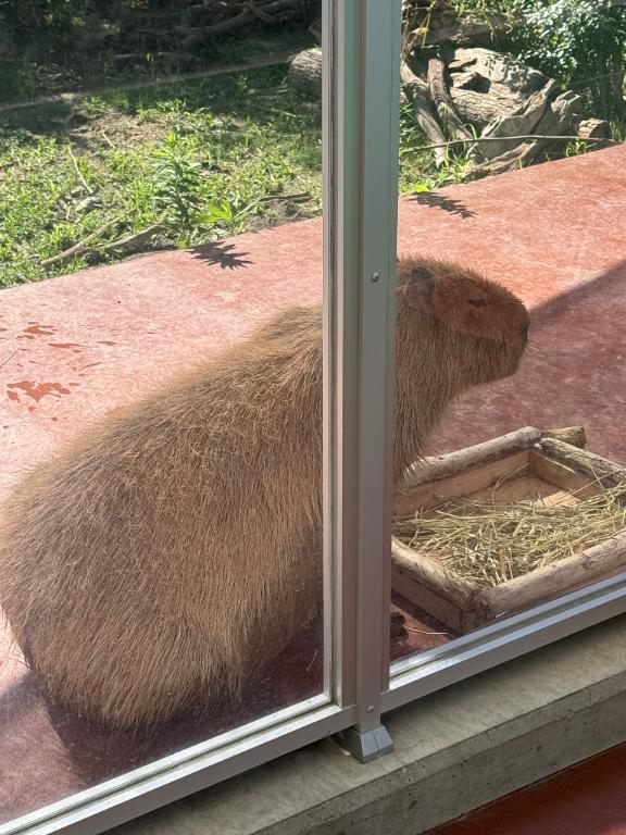 えみり 写メ日記 10/2(木) 19:34