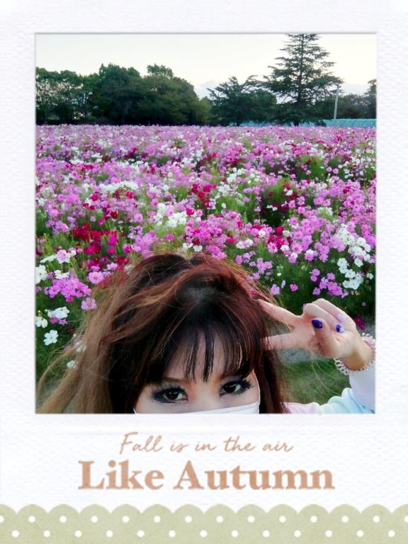 RISA講師 写メ日記 11/2(日) 18:57