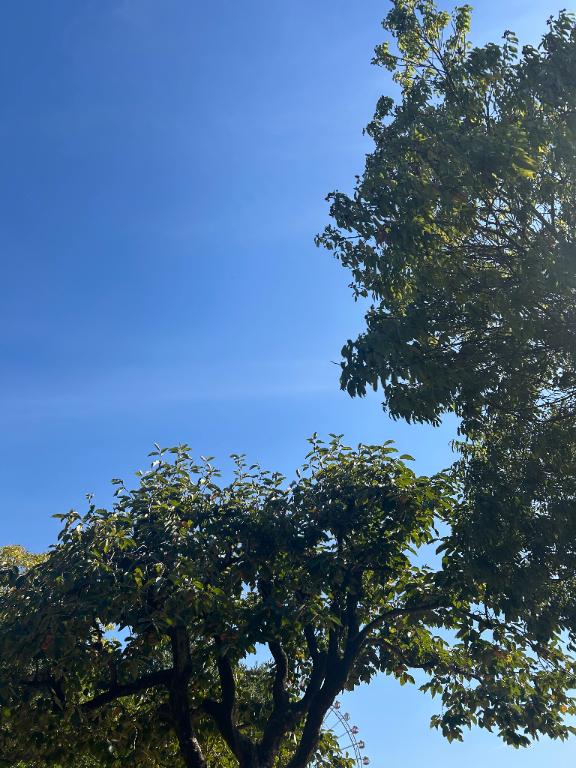 あいか 写メ日記 10/30(木) 16:04