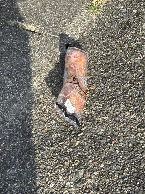 写メ日記 彩星(あやせ) 3/7(土) 16:07