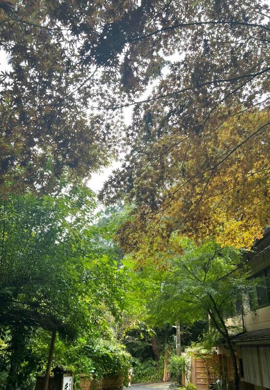 そら 写メ日記 11/12(水) 12:03