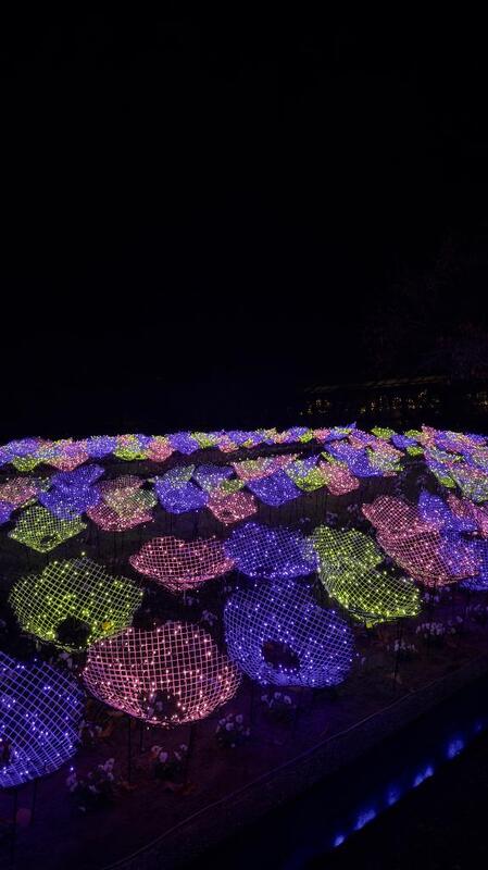 あおい 写メ日記 11/21(金) 09:03