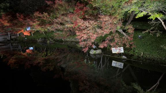 あおい 写メ日記 11/25(火) 10:04