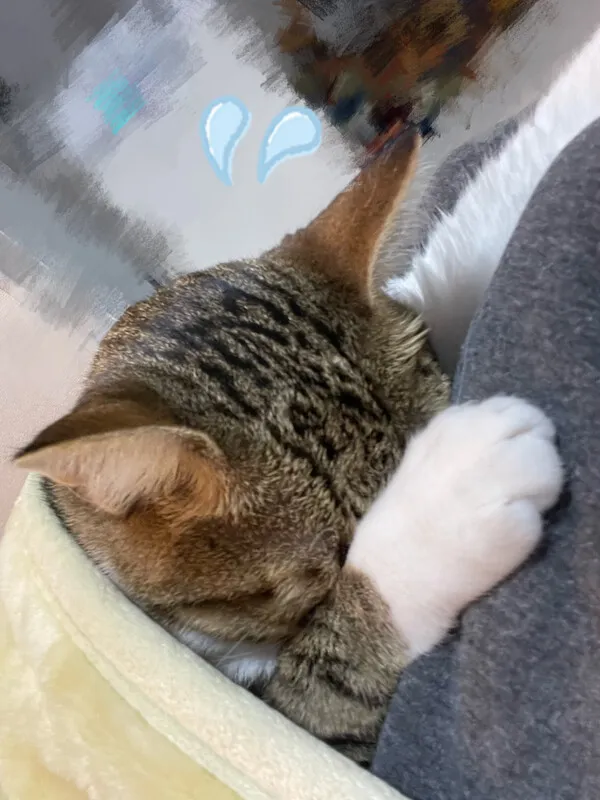 写メ日記 さわ 11/25(火) 12:43