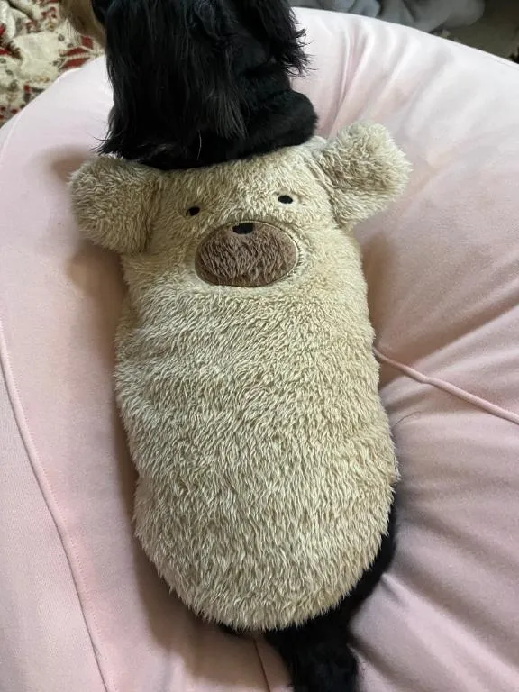 写メ日記 もえ 2/1(日) 10:35