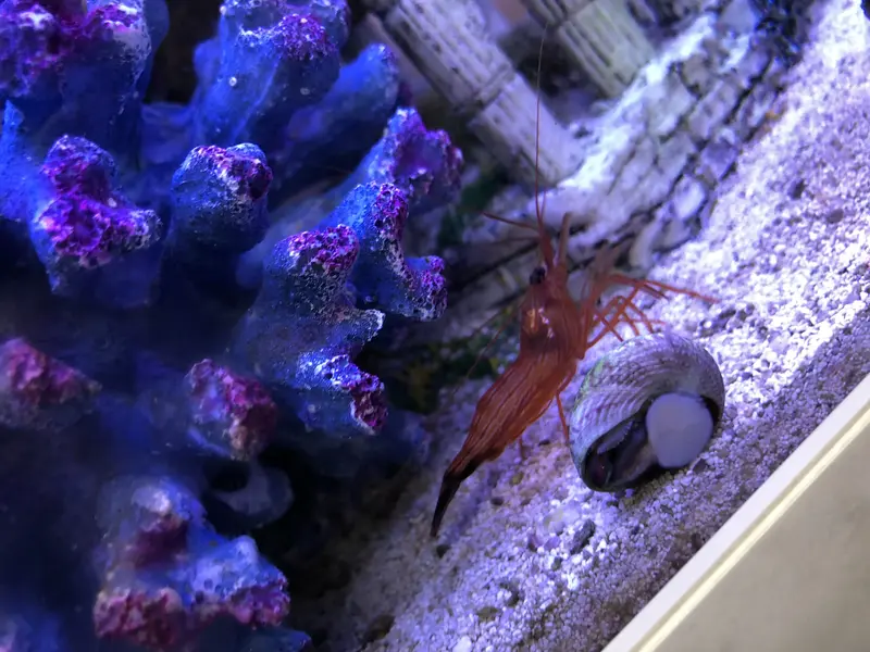 写メ日記 ちよ 1/13(火) 04:40