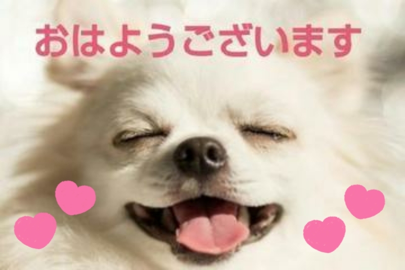 真野（まの） 写メ日記 9/5(金) 09:42