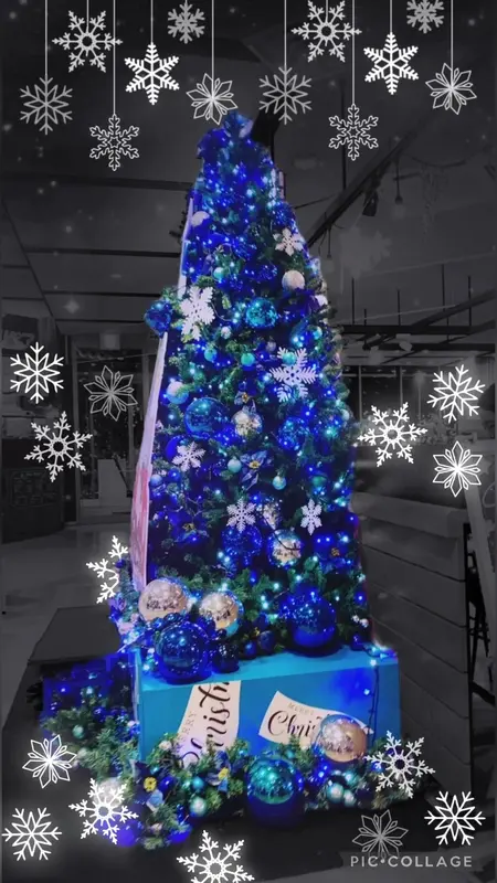 写メ日記 黒木（くろき） 12/19(金) 15:54