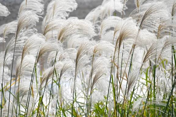 矢田（やだ） 写メ日記 10/24(金) 08:13