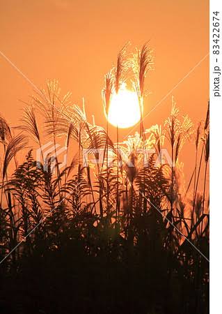 矢田（やだ） 写メ日記 10/29(水) 19:15