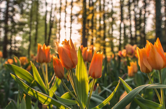 矢田（やだ） 写メ日記 11/1(土) 22:15