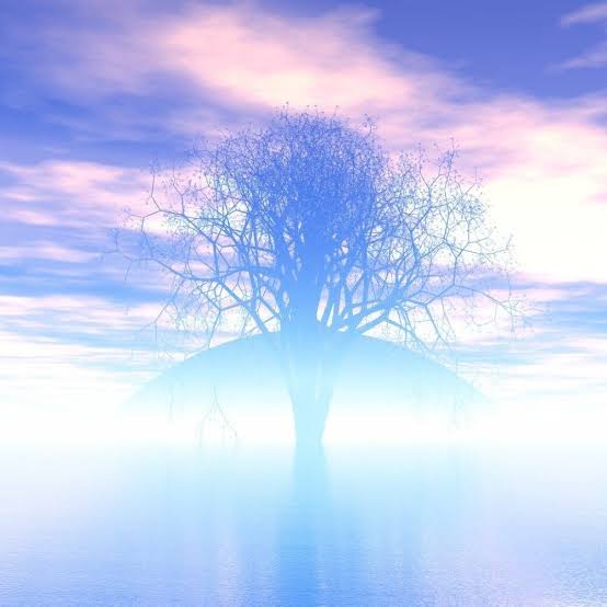 矢田（やだ） 写メ日記 11/4(火) 23:24